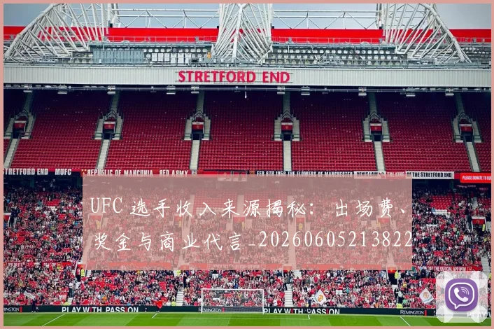 UFC 选手收入来源揭秘：出场费、奖金与商业代言_20260605213822